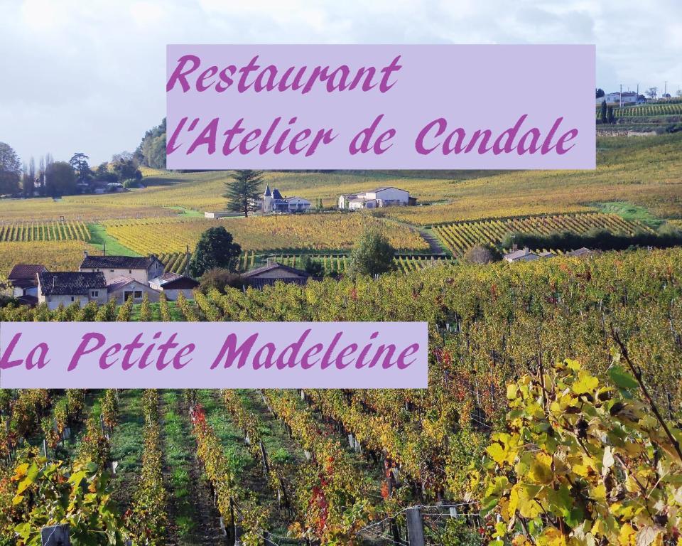 La Petite Madeleine Hotel Castillon-la-Bataille Exterior foto